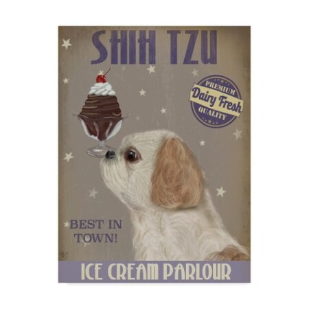 Fab Funky 'Shih Tzu Ice Cream' Canvas Art,14x19